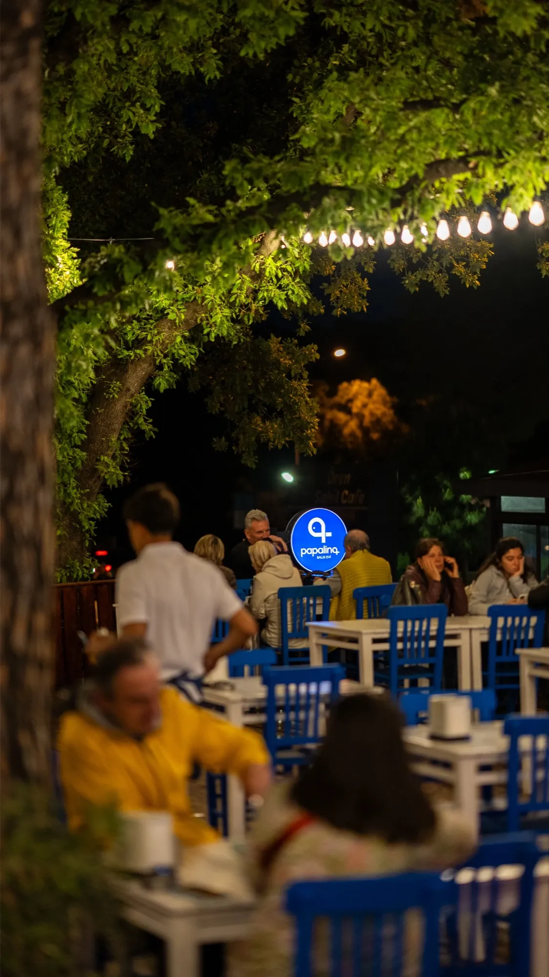 Gece ışıkları altında dolu Papalina terası