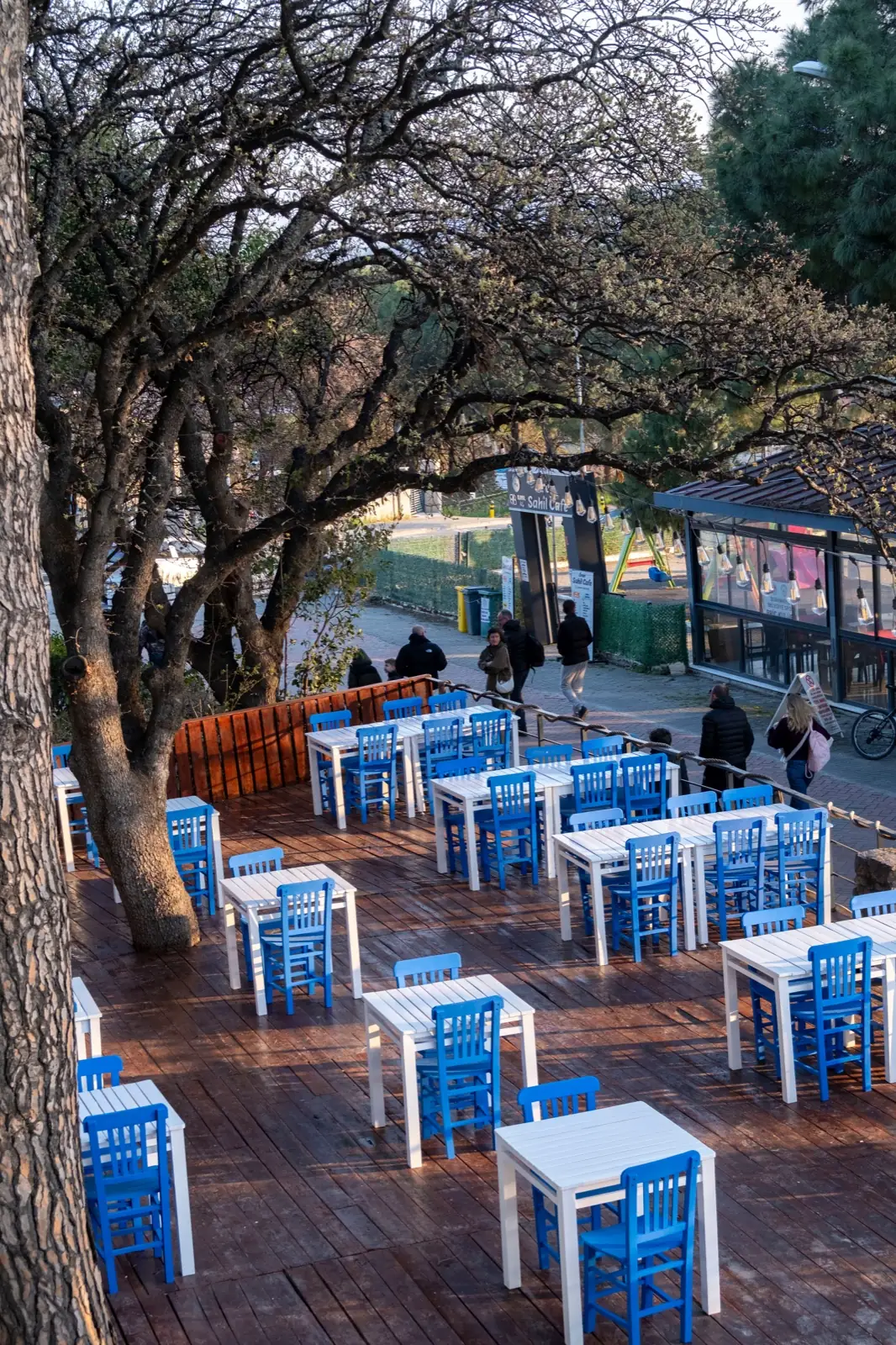 Çamların arasından görünen Papalina terası